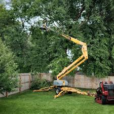 Best Firewood Processing and Delivery  in Junction, TX